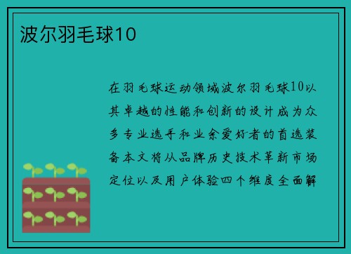 波尔羽毛球10